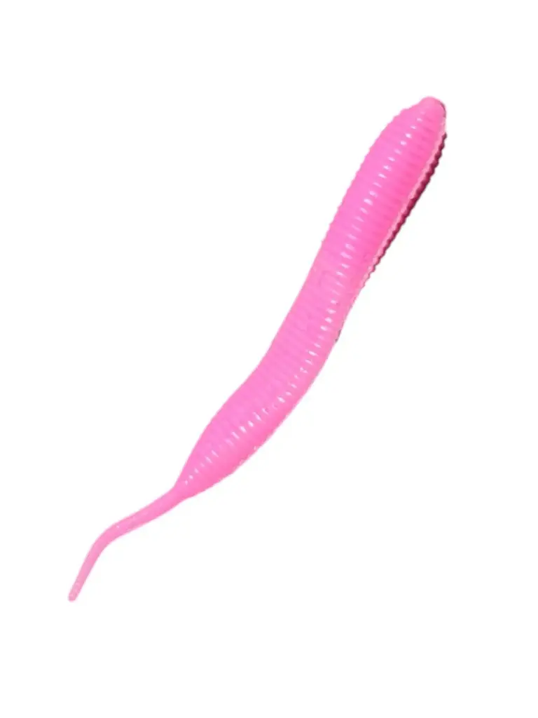Flat Worm (PKN)